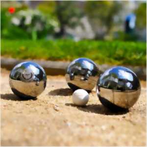 photo Concours de pétanque : qualificatif CD 87, doublettes