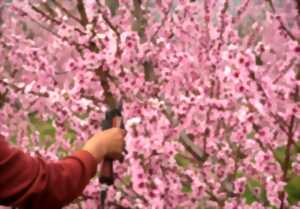 photo Atelier-goûter du samedi au Jardin Bourian : 