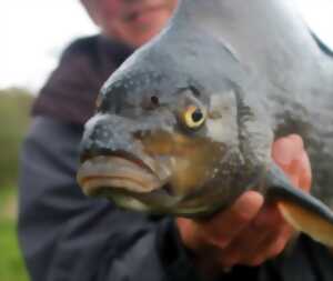 photo Concours de pêche à Maisnières