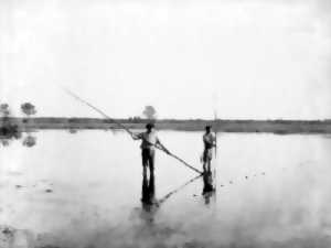 photo De Félix Arnaudin à nos jours - 100 ans de Landes Sauvages