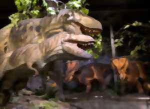 photo Musée des dinosaures