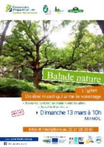 photo Balade Nature