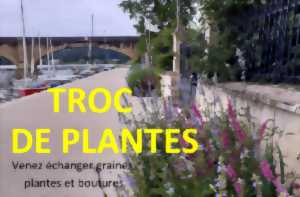 photo Troc de plantes