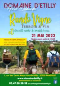 Rando Vigne, Terroir et Vin