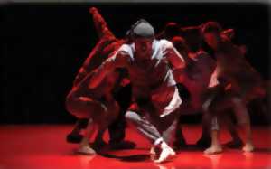 Danse, hip hop, cirque : Fli Compagnie Art Move Concept