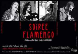 photo Soirée Flamenco
