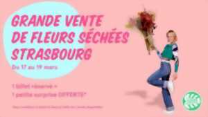 photo Grande vente de fleurs séchées