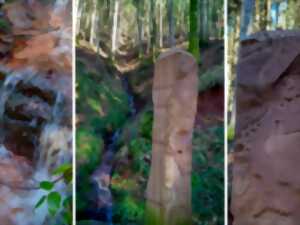 photo Sentiers Plaisir : Histoire et nature autour des sources de la Bruche