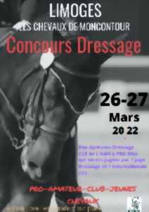 photo Dressage à Moncontour à Saint-Hilaire-Bonneval