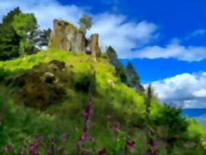 photo Sentiers Plaisir : Le château de la Roche