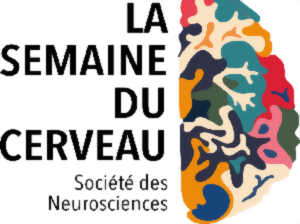 photo Semaine du cerveau : conférence 