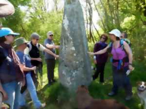 Randonnée accompagnée avec les marches pieds