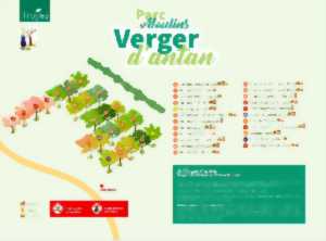 photo Démonstration de greffage du verger et ses différentes techniques