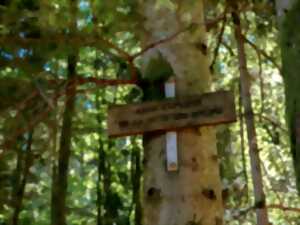 photo Sentiers Plaisir : Framont-Grandfontaine, la ruée vers le fer