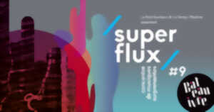 photo Festival Super Flux : Sister Iodine + Richardeau / Coulon