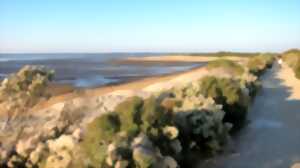 photo Accueil naturaliste sur le sentier du littoral à la Pointe du Teich