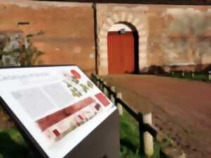 Randonnée du Sentier de la rose