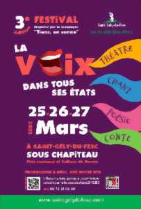 photo THEATRE - 3° EDITION FESTIVAL LA VOIX DANS TOUS SES ETATS