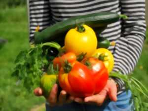 photo Les Jardins du Presbytère : atelier compostage et potager