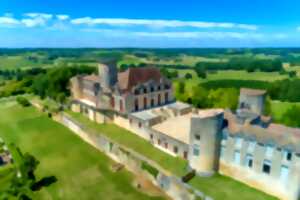 photo Visite guidée du château de Duras