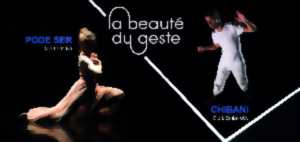 photo PODE SER & CHIBANI - FESTIVAL LA BEAUTE DU GESTE