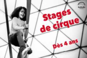 Stages - Komono Circus