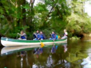 photo Balade guidée en canoë collectif sur la Leyre Réserve Ornithologique