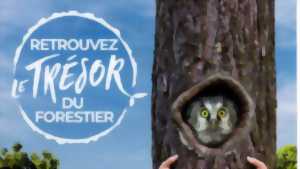 photo Retrouvez le trésor du forestier