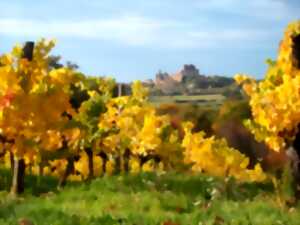 Printemps à la ferme au Domaine de la Tuque