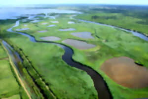 photo Balade à pied au coeur du delta de la Leyre