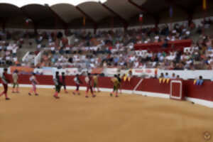 photo Corrida de la Féria