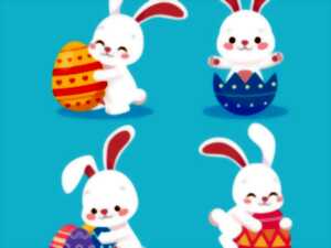 photo Flânerie des lièvres