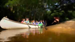 photo Balade guidée en canoë collectif sur la Leyre