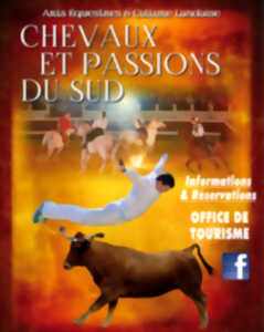 Spectacle Chevaux et Passion du Sud