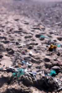 photo Initiatives océanes : collecte de déchets