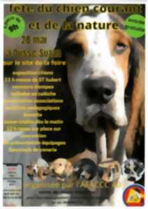 photo Fête du chien courant et de la nature