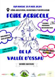 photo Foire agricole de la Vallée d'Ossau