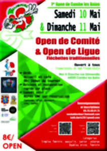 photo Tournoi de fléchettes traditionnelles