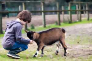 photo Animations de Pâques à la Ferme d'Ellia