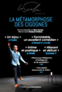 photo LA METAMORPHOSE DES CIGOGNES