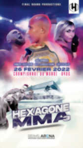 photo HEXAGONE MMA 3