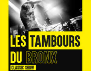 photo LES TAMBOURS DU BRONX