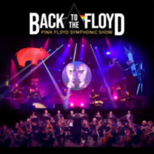 photo BACK TO THE FLOYD