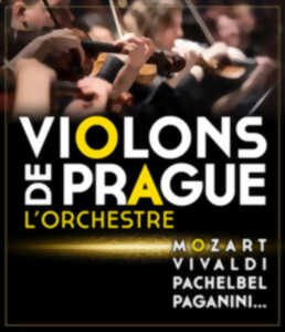 photo VIOLONS DE PRAGUE