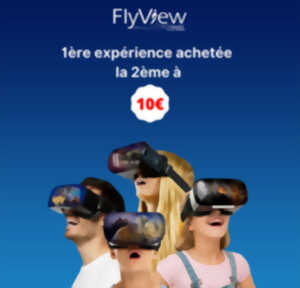 FLYVIEW