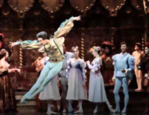 rencontre femme tyrosse