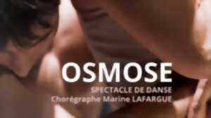 Spectacle Compagnie 