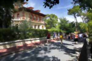 photo Marcher, découvrir, aimer Arcachon !