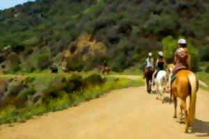 photo Randonnée avec les amis du cheval