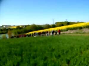 photo Randonnée de Printemps à Saint-Paterne-Racan